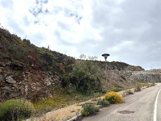 Sierra Gorda 46