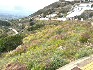 Sierra Gorda 39
