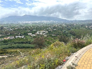 Sierra Gorda 43