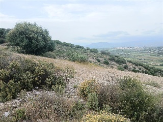 Sierra Gorda 42