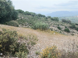 Sierra Gorda 43