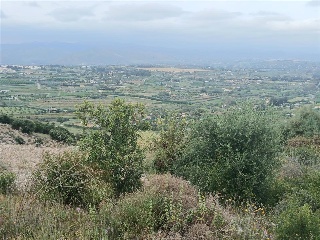 Sierra Gorda 44
