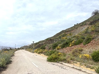 Sierra Gorda 36