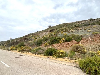 Sierra Gorda 37