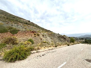 Sierra Gorda 39