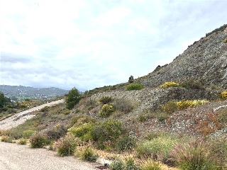 Sierra Gorda 41
