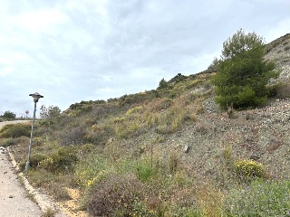 Sierra Gorda 42