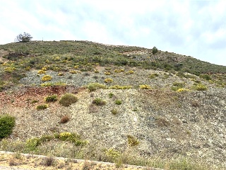Sierra Gorda 44