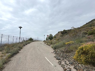 Sierra Gorda 46