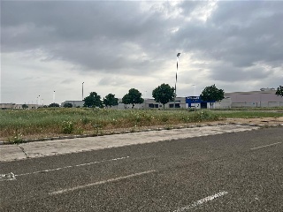 CL LOS PALILLOS DIECISEIS 8