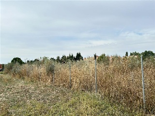 Cubera 5
