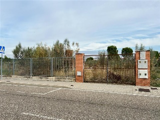 Cubera 6