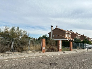 Cubera 7