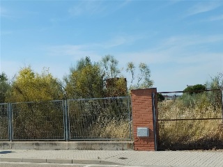 Cubera 9