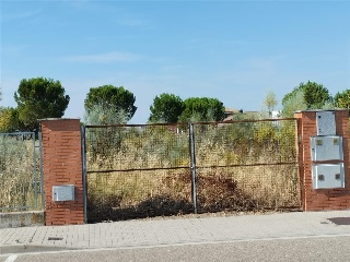 Cubera 10
