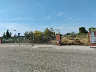 Cubera 11