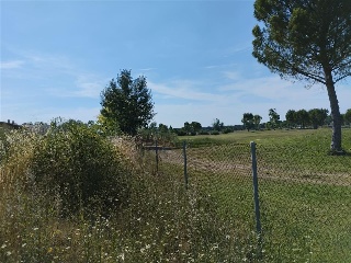 Cubera 14