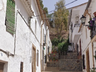 SAN ANTON 5