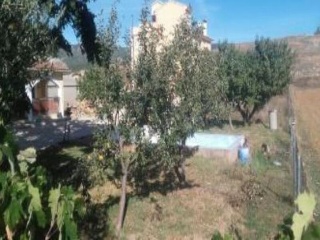 CUENCA 4