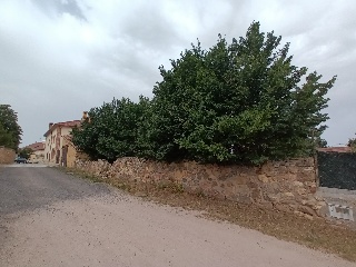 LAS ANGUSTIAS (PARCELA 12) 5