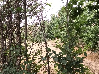LAS ANGUSTIAS (PARCELA 12) 11