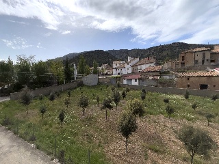 Puntal 13