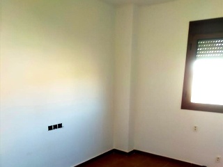 Puntual 5