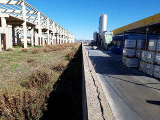 VEGA DEL TAJO 7