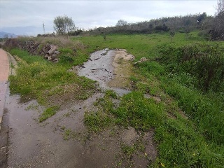 PARAJE DEHESA DE LOS CABALLOS 3