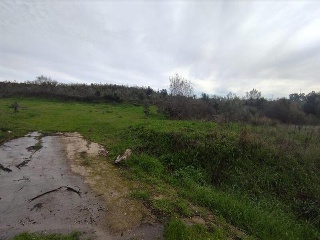 PARAJE DEHESA DE LOS CABALLOS 5
