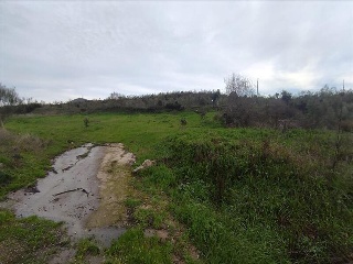 PARAJE DEHESA DE LOS CABALLOS 6