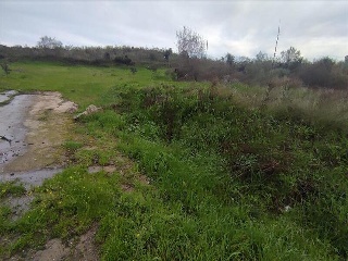 PARAJE DEHESA DE LOS CABALLOS 7