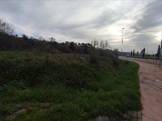 PARAJE DEHESA DE LOS CABALLOS 8