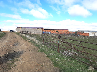 LOS BARROS DEL GALLO COCEADO POLIGONO 4 6