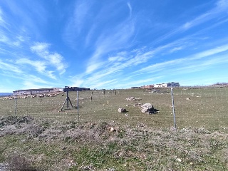 LOS BARROS DEL GALLO COCEADO POLIGONO 4 8