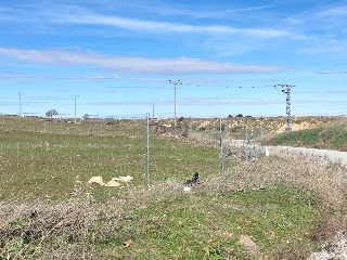 LOS BARROS DEL GALLO COCEADO POLIGONO 4 9