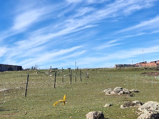 LOS BARROS DEL GALLO COCEADO POLIGONO 4 10