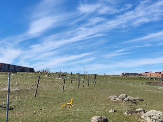 LOS BARROS DEL GALLO COCEADO POLIGONO 4 11