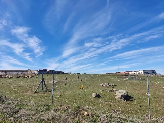 LOS BARROS DEL GALLO COCEADO POLIGONO 4 12