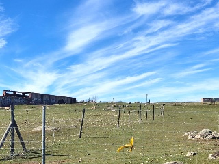 LOS BARROS DEL GALLO COCEADO POLIGONO 4 13