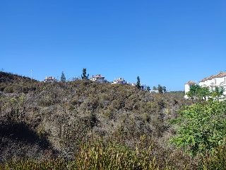 Solar en Av Rosalía de Castro 6