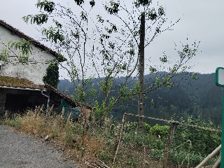 Caserío en Barrio Arriaran Auzoa Caserío Iturritza - Beasain - Guipúzcoa 4