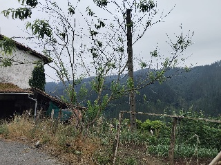 Caserío en Barrio Arriaran Auzoa Caserío Iturritza - Beasain - Guipúzcoa 5