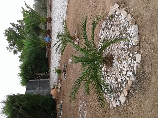 Casa con terreno en Aledo 25