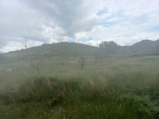 Suelos en Lardero - La Rioja - 8