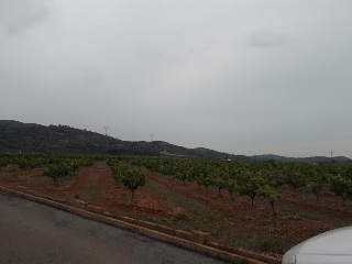 Suelo urbano en C/ Montealmenara II - Almenara - Castellón 6