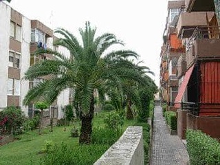Piso en C/ Músico Antonio Flores - Alicante - 2