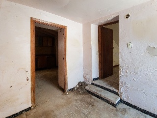 01243-0001 43