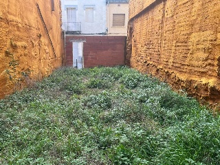 Calau 12