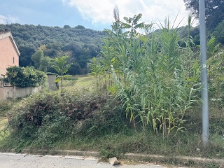 Antonio Torrent I Martori 9